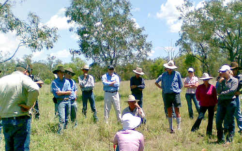 PLANNING AHEAD: More than 40 graziers went to Leon and Raylee Clothier’s Borilla Park, near Emerald, for talks on how to handle the upcoming wet season. cont PLANNING AHEAD: More than 40 graziers went to Leon and Raylee Clothier’s Borilla Park, near Emerald, for talks on how to handle the upcoming wet season. cont